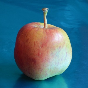 smitten apple