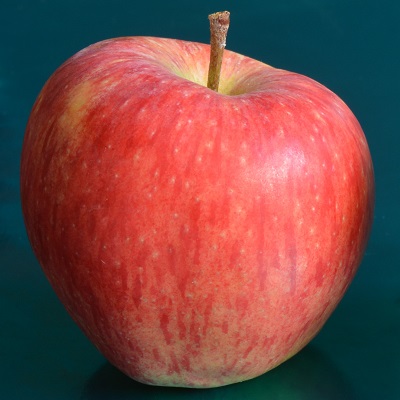 Suffolk Pink Apple