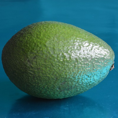 ryan avocado