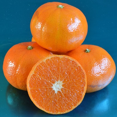 Murcott (Honey Tangerine) - Types Of Tangerines
