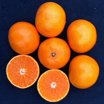 Sol Zest-Orri Mandarin Oranges