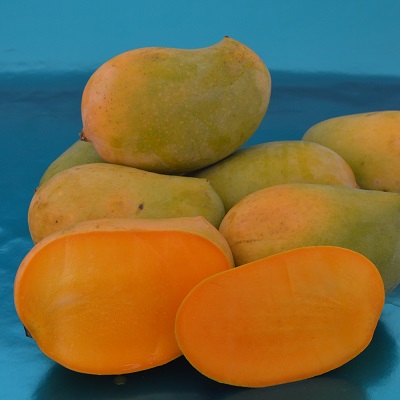 Kesar mango, India