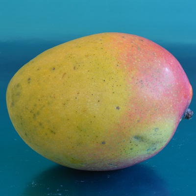 parvin mango