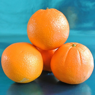Lane late Orange, Now Wholesale Discount