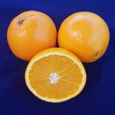 Rhode navel orange